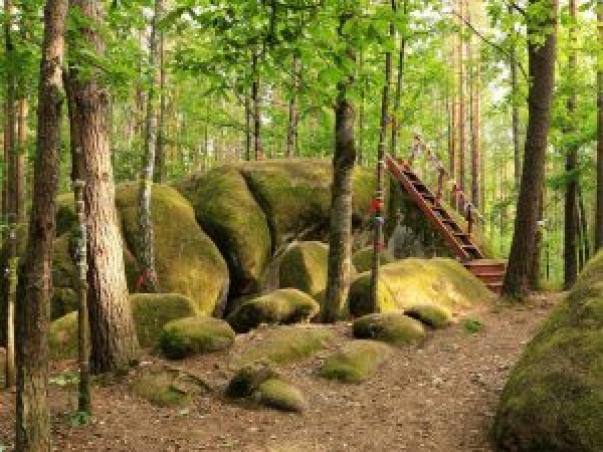 Новини Житомира - фото з #Мандруй_Житомирщиною: туристичний маршрут “Єднання з природою” #Мандруй_Житомирщиною: туристичний маршрут “Єднання з природою”, фото №8 на сайті 20minut.ua