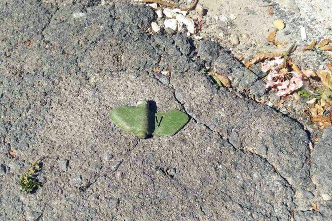 Біля будинку на Кам’янецькій знайшли міну (ФОТО, ВІДЕО), фото №2 на сайті vsim.ua