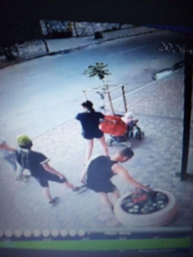 Як у Козятині крадуть квіти та ламають дерева, фото №1 на сайті 20minut.ua