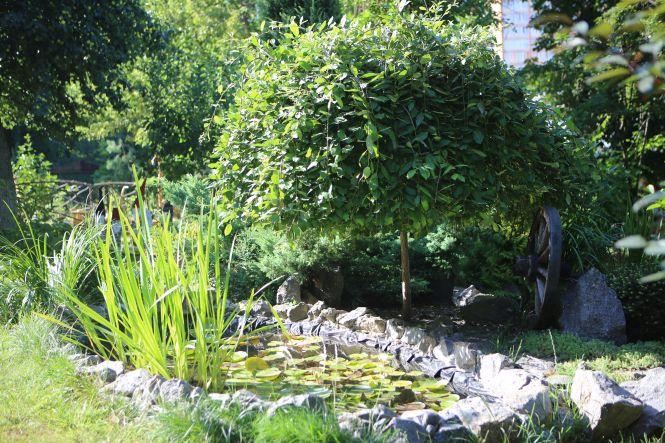 Новини Вінниці - фото з «Це у нас куточок автомобіліста, а ось тут ми дивимося кіно». Наш ТОП-4 найцікавіших дворів Вінниці «Це у нас куточок автомобіліста, а ось тут ми дивимося кіно». Наш ТОП-4 найцікавіших дворів Вінниці, фото №2 на сайті 20minut.ua