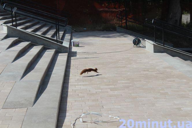 Новини Тернополя - фото з Сходи біля Літака за 1,5 млн грн майже готові. Що кажуть тернополяни? Сходи біля Літака за 1,5 млн грн майже готові. Що кажуть тернополяни?, фото №5 на сайті 20minut.ua