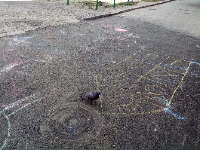 Новини Козятина - фото з Оновили асфальт у дворах будинків Оновили асфальт у дворах будинків, фото №6 на сайті 20minut.ua