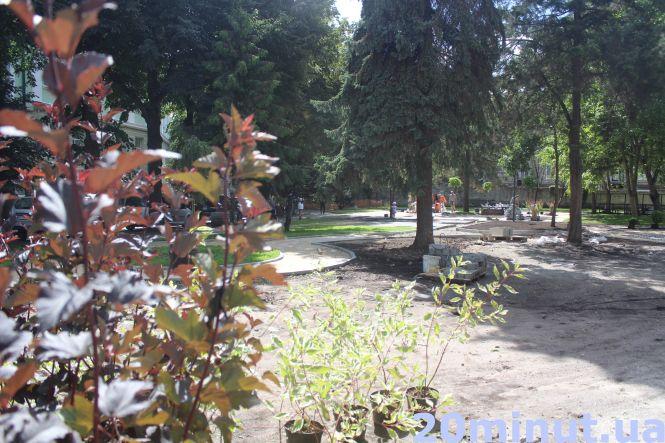 Новини Тернополя - фото з На вулиці Качали у новому трансфер-містечку висаджують дерева (ФОТО ДНЯ) На вулиці Качали у новому трансфер-містечку висаджують дерева (ФОТО ДНЯ), фото №3 на сайті 20minut.ua