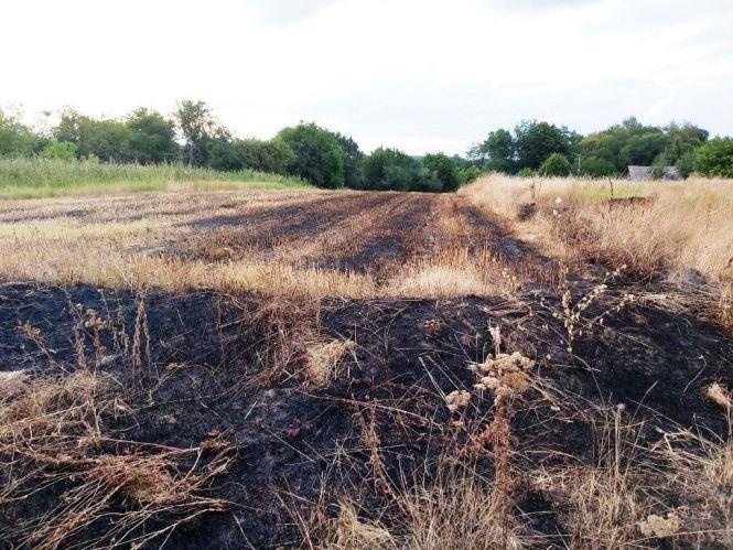Новини Житомира - фото з На півночі області горів сухостій: вогонь пройшов 5 га і підібрався до житлових будинків На півночі області горів сухостій: вогонь пройшов 5 га і підібрався до житлових будинків, фото №1 на сайті 20minut.ua