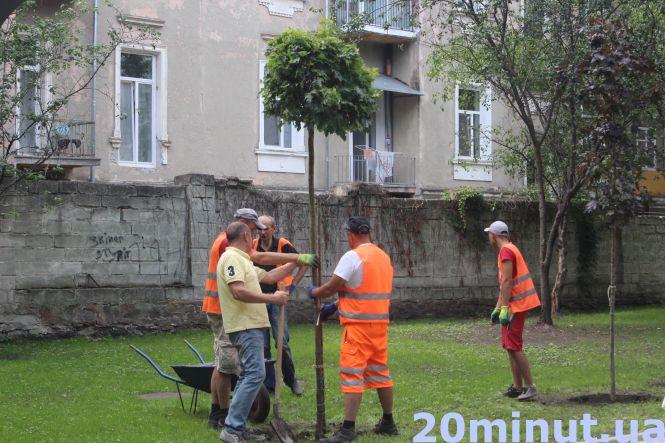 Новини Тернополя - фото з На вулиці Качали у новому трансфер-містечку висаджують дерева (ФОТО ДНЯ) На вулиці Качали у новому трансфер-містечку висаджують дерева (ФОТО ДНЯ), фото №4 на сайті 20minut.ua