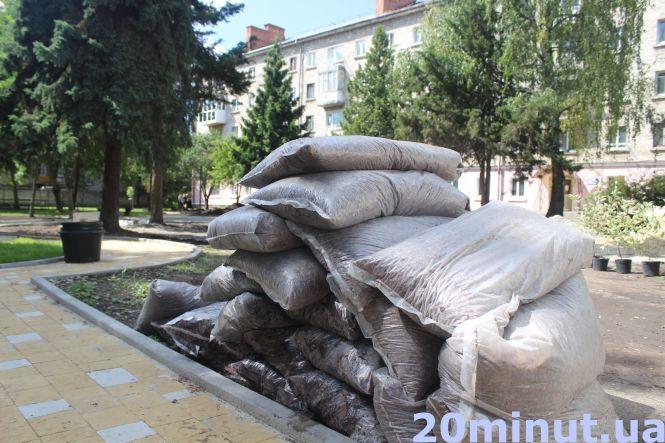 Новини Тернополя - фото з На вулиці Качали у новому трансфер-містечку висаджують дерева (ФОТО ДНЯ) На вулиці Качали у новому трансфер-містечку висаджують дерева (ФОТО ДНЯ), фото №1 на сайті 20minut.ua