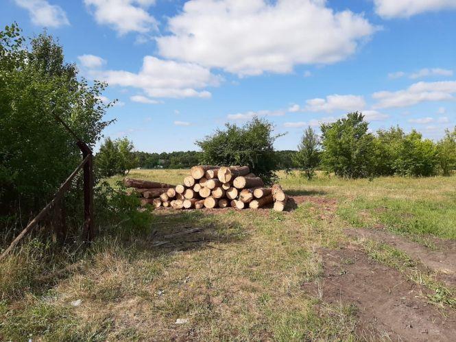 Новини Житомира - фото з У Коростишівському районі під час обшуку виявлено понад 36 м куб. деревини невідомого походження У Коростишівському районі під час обшуку виявлено понад 36 м куб. деревини невідомого походження, фото №1 на сайті 20minut.ua