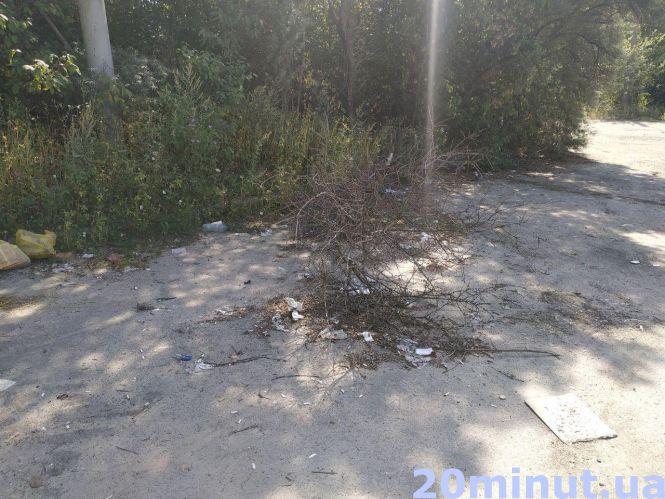 Новини Тернополя - фото з Одна з вулиць Тернополя знову починає тонути в смітті: кому відповідати? Одна з вулиць Тернополя знову починає тонути в смітті: кому відповідати?, фото №6 на сайті 20minut.ua