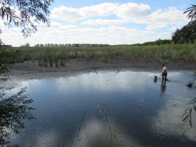 Конфлікт на рівному місці. Із-за риби в Верболозах посварилися любителі природи, фото №2 на сайті 20minut.ua