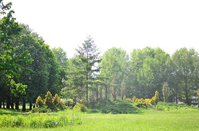 Файл:Дендропарк Поділля. Місто Хмельницький 04.jpg