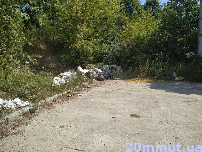 Новини Тернополя - фото з Одна з вулиць Тернополя знову починає тонути в смітті: кому відповідати? Одна з вулиць Тернополя знову починає тонути в смітті: кому відповідати?, фото №3 на сайті 20minut.ua