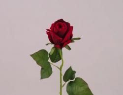 Новини Вінниці - фото з ВІН І ВОНА: Шість безвідмовних способів знести дах коханій людині ВІН І ВОНА: Шість безвідмовних способів знести дах коханій людині, фото №5 на сайті 20minut.ua