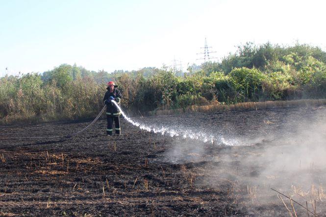 Новини Хмельницького - фото з Багато диму. Поблизу Хмельницького горіло 20 гектарів поля Багато диму. Поблизу Хмельницького горіло 20 гектарів поля, фото №1 на сайті vsim.ua
