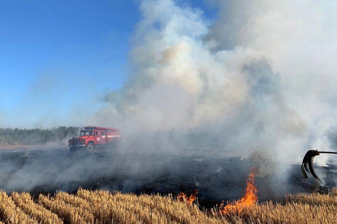 Новини Хмельницького - фото з Багато диму. Поблизу Хмельницького горіло 20 гектарів поля Багато диму. Поблизу Хмельницького горіло 20 гектарів поля, фото №2 на сайті vsim.ua