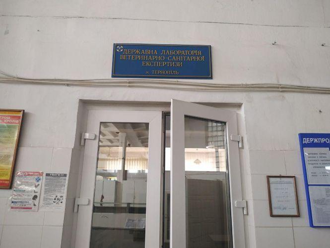 Новини Тернополя - фото з Нітрати на межі допустимого. Чи безпечні кавуни та дині, які продають на ринку: ми перевірили для вас Нітрати на межі допустимого. Чи безпечні кавуни та дині, які продають на ринку: ми перевірили для вас, фото №2 на сайті 20minut.ua