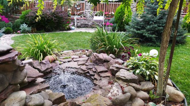 Новини Тернополя - фото з "Приїжджають фотографуватись на весілля": у Ланівцях жінка замість городу  посадила казковий сад "Приїжджають фотографуватись на весілля": у Ланівцях жінка замість городу  посадила казковий сад, фото №1 на сайті 20minut.ua