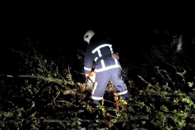 Новини Хмельницького - фото з Негода на Хмельниччині: потужний вітер ламав дерева та валив їх просто на автошляхи Негода на Хмельниччині: потужний вітер ламав дерева та валив їх просто на автошляхи, фото №1 на сайті vsim.ua