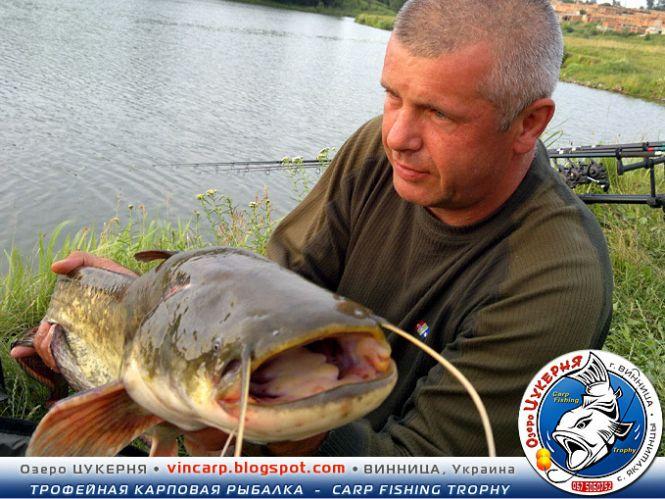 Новини Вінниці - фото з ТОП-10 рибних місць або які водойми найбільше люблять вінницькі рибалки ТОП-10 рибних місць або які водойми найбільше люблять вінницькі рибалки, фото №3 на сайті 20minut.ua