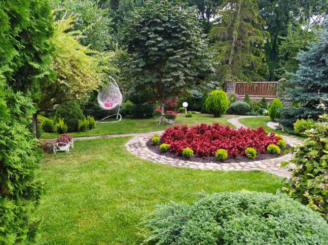 Новини Тернополя - фото з "Приїжджають фотографуватись на весілля": у Ланівцях жінка замість городу  посадила казковий сад "Приїжджають фотографуватись на весілля": у Ланівцях жінка замість городу  посадила казковий сад, фото №2 на сайті 20minut.ua