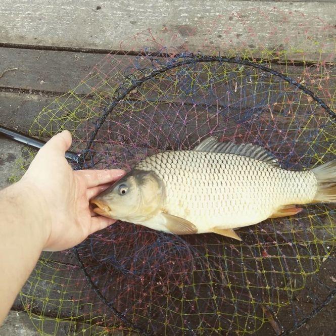 Новини Вінниці - фото з ТОП-10 рибних місць або які водойми найбільше люблять вінницькі рибалки ТОП-10 рибних місць або які водойми найбільше люблять вінницькі рибалки, фото №9 на сайті 20minut.ua
