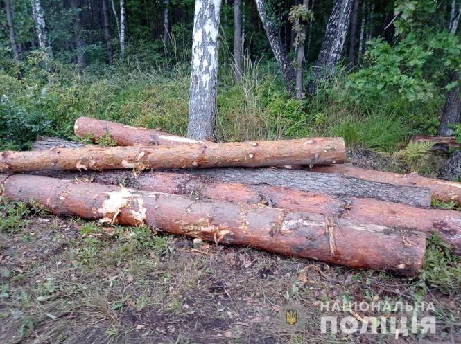 За добу поліцейські Житомирщини викрили три незаконні оборудки з лісом, фото №1 на сайті 20minut.ua
