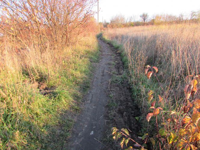 Новини Козятина - фото з Прогулянка Козятинщиною: Мостобудівці майже вийшли на фінішну пряму Прогулянка Козятинщиною: Мостобудівці майже вийшли на фінішну пряму, фото №4 на сайті 20minut.ua