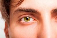 Новини Вінниці - фото з ВІН І ВОНА: Сексуальність чи сексоманія — а що у вас? ВІН І ВОНА: Сексуальність чи сексоманія — а що у вас?, фото №4 на сайті 20minut.ua