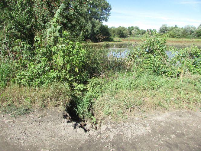 Прогулянка Козятинщиною: небезпечний люк, сміття та хитрі лісоруби, фото №12 на сайті 20minut.ua