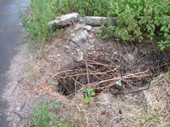 Прогулянка Козятинщиною: небезпечний люк, сміття та хитрі лісоруби, фото №1 на сайті 20minut.ua