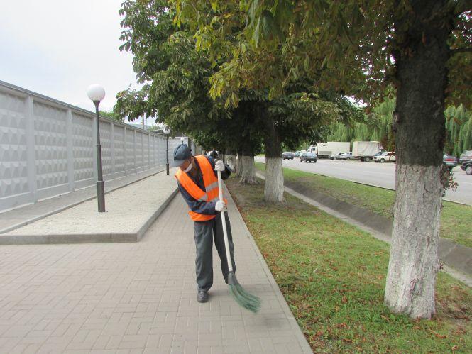 Прогулянка Козятинщиною: небезпечний люк, сміття та хитрі лісоруби, фото №11 на сайті 20minut.ua