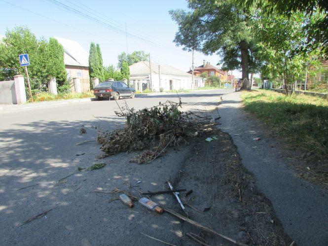 Прогулянка Козятинщиною: небезпечний люк, сміття та хитрі лісоруби, фото №5 на сайті 20minut.ua