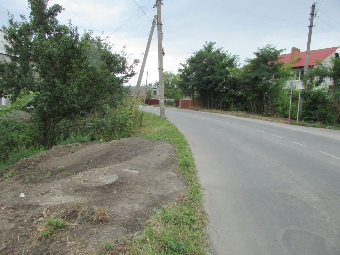 Прогулянка Козятинщиною: небезпечний люк, сміття та хитрі лісоруби, фото №2 на сайті 20minut.ua