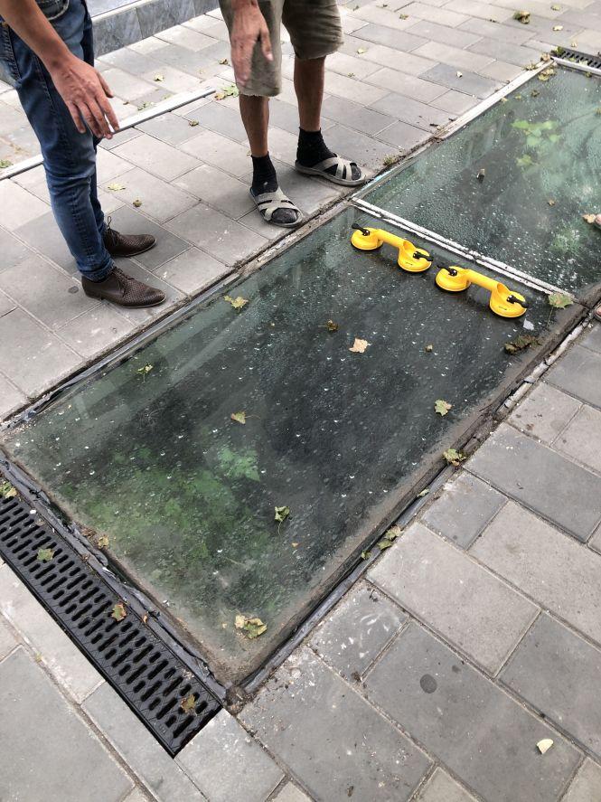 Новини Житомира - фото з У житомирському підземеллі вирізали дерева, які встигли там вирости за 3 роки. ФОТО У житомирському підземеллі вирізали дерева, які встигли там вирости за 3 роки. ФОТО, фото №1 на сайті 20minut.ua
