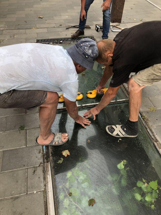 Новини Житомира - фото з У житомирському підземеллі вирізали дерева, які встигли там вирости за 3 роки. ФОТО У житомирському підземеллі вирізали дерева, які встигли там вирости за 3 роки. ФОТО, фото №2 на сайті 20minut.ua