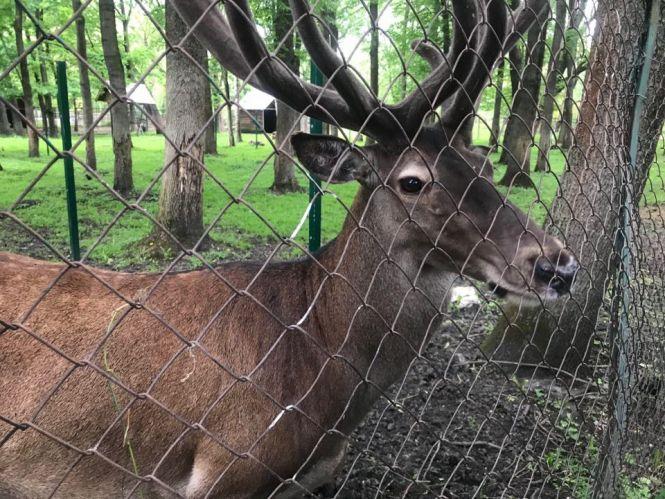 Новини Тернополя - фото з ТОП-10 місць, які варто відвідати туристу у Тернополі ТОП-10 місць, які варто відвідати туристу у Тернополі, фото №7 на сайті 20minut.ua