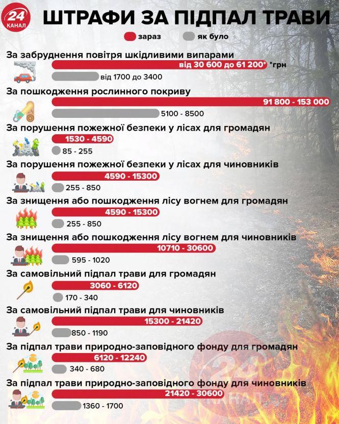 За добу в області вигоріло 5 гектарів поля. Які штрафи?, фото №2 на сайті 20minut.ua