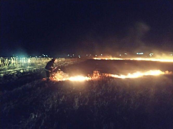 За добу в області вигоріло 5 гектарів поля. Які штрафи?, фото №1 на сайті 20minut.ua