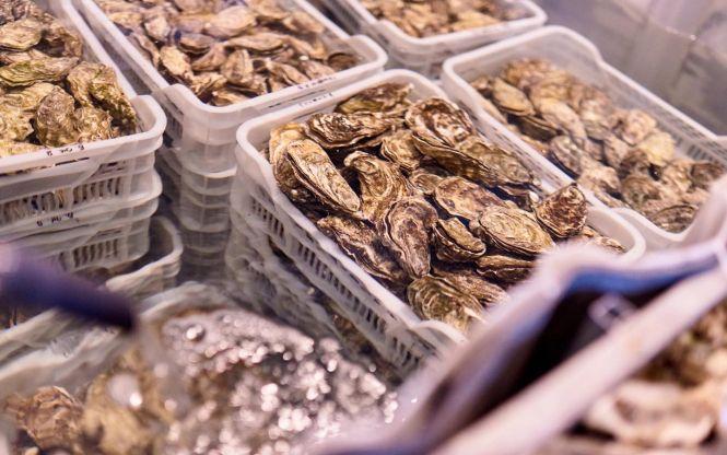 Устричний сезон: чому вересень найкраща пора для молюсків і звідки вони у Вінниці, фото №2 на сайті 20minut.ua