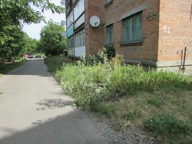 Небезпека на вулиці Кошового. Люки досі відкриті, фото №3 на сайті 20minut.ua