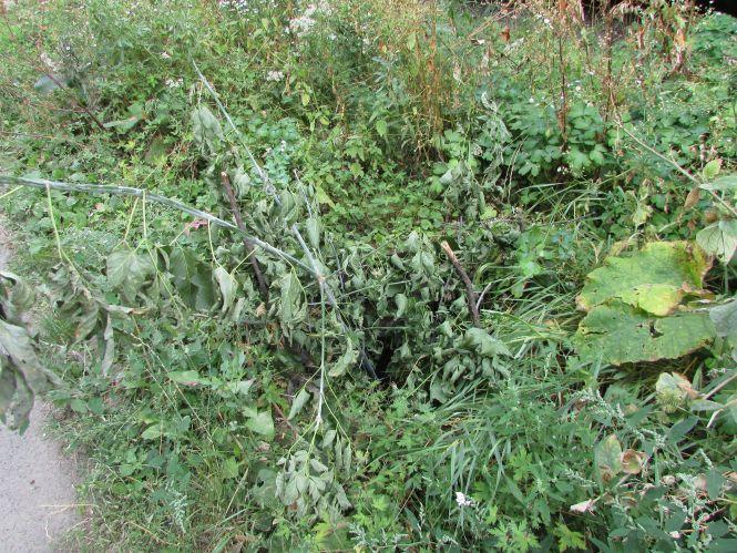 Небезпека на вулиці Кошового. Люки досі відкриті, фото №4 на сайті 20minut.ua