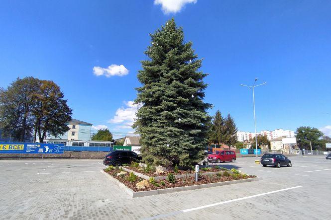 Мега-парковка з міні-сквером. Що є біля нового «Епіцентру» у Вінниці, фото №5 на сайті 20minut.ua