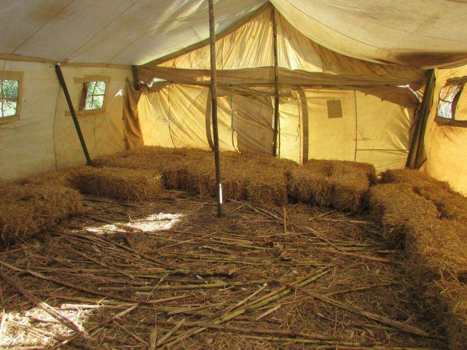 На соняшниковому полі від «ніжних дотиків» поліцейських падали жінки, фото №1 на сайті 20minut.ua