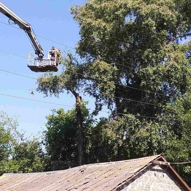 На Кошового, 58 зрізали аварійні дерева та замінили покрівлю даху, фото №1 на сайті 20minut.ua