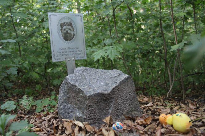 Новини Вінниці - фото з Як виглядає вінницьке кладовище домашніх тварин. І чи можливо легально поховати улюбленця? Як виглядає вінницьке кладовище домашніх тварин. І чи можливо легально поховати улюбленця?, фото №2 на сайті 20minut.ua