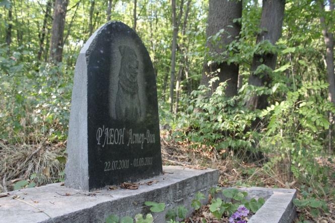 Важливе за вчора. Найцікавіші новини 10 вересня, які ви могли пропустити, фото №2 на сайті 20minut.ua