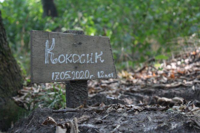 Новини Вінниці - фото з Як виглядає вінницьке кладовище домашніх тварин. І чи можливо легально поховати улюбленця? Як виглядає вінницьке кладовище домашніх тварин. І чи можливо легально поховати улюбленця?, фото №1 на сайті 20minut.ua