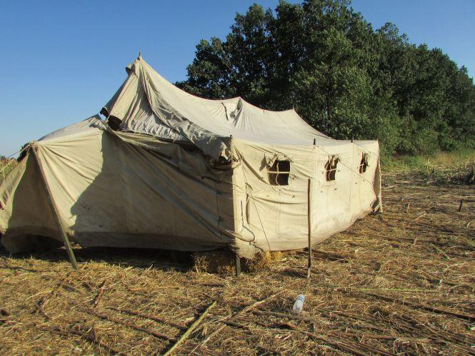 На соняшниковому полі від «ніжних дотиків» поліцейських падали жінки, фото №2 на сайті 20minut.ua