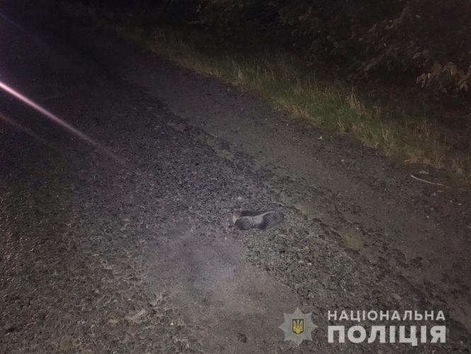 Новини Вінниці - фото з У Літинському районі в ДТП загинула жінка-пішохід. Що відомо про аварію? У Літинському районі в ДТП загинула жінка-пішохід. Що відомо про аварію?, фото №1 на сайті 20minut.ua