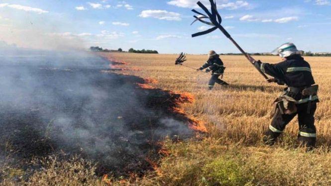 Новини Тернополя - фото з Завершення дачно-городнього сезону: знову палять траву, стерню і сміття Завершення дачно-городнього сезону: знову палять траву, стерню і сміття, фото №1 на сайті 20minut.ua