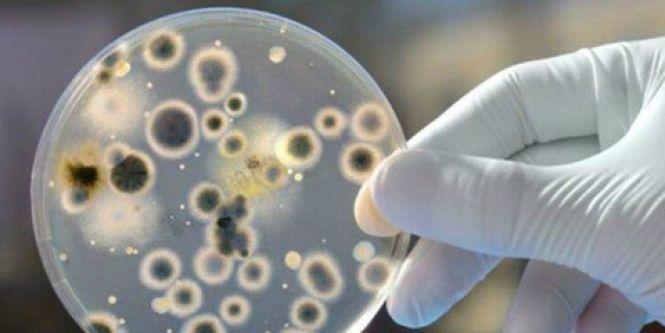 Панацеї ще не придумали: як врятуватись від осінньої алергії, фото №1 на сайті vsim.ua